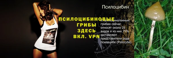 spice Навашино